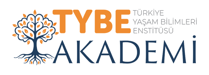TYBE Akademi