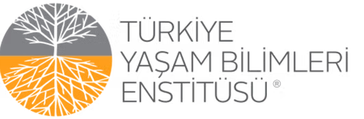 TYBE Logo